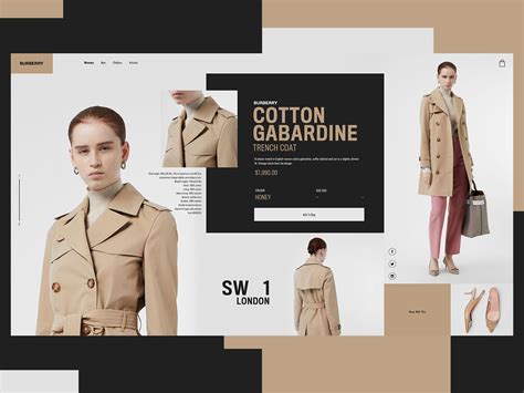 burberry website design.